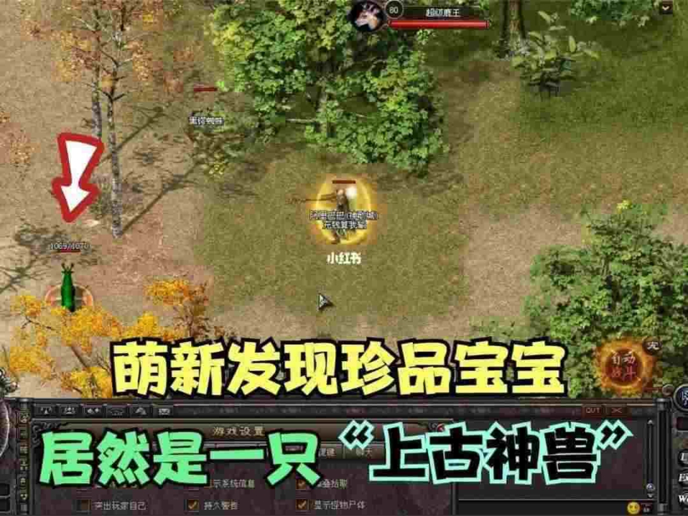 杀神恶魔网页版之传奇私服自带的挂怎么用